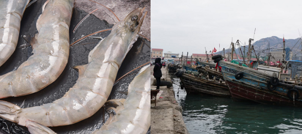 建造一個(gè)海鮮冷庫(kù)多少錢？